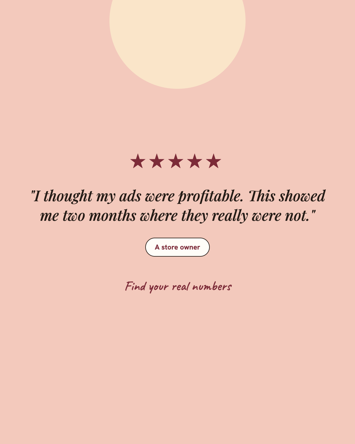 Customer review of the Ad Spend P&L Tracker
